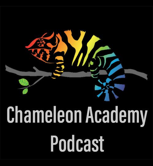 Chameleon Academy Logo