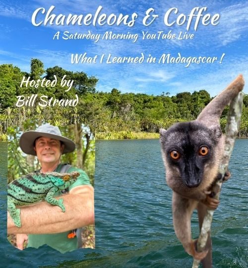 Bill Strand and Lemur