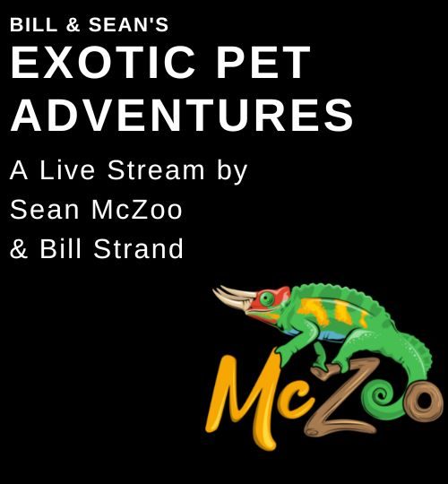 Exotic Pet Adventures logo